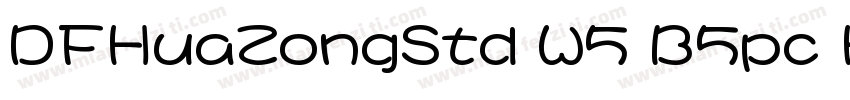 DFHuaZongStd W5 B5pc H字体转换